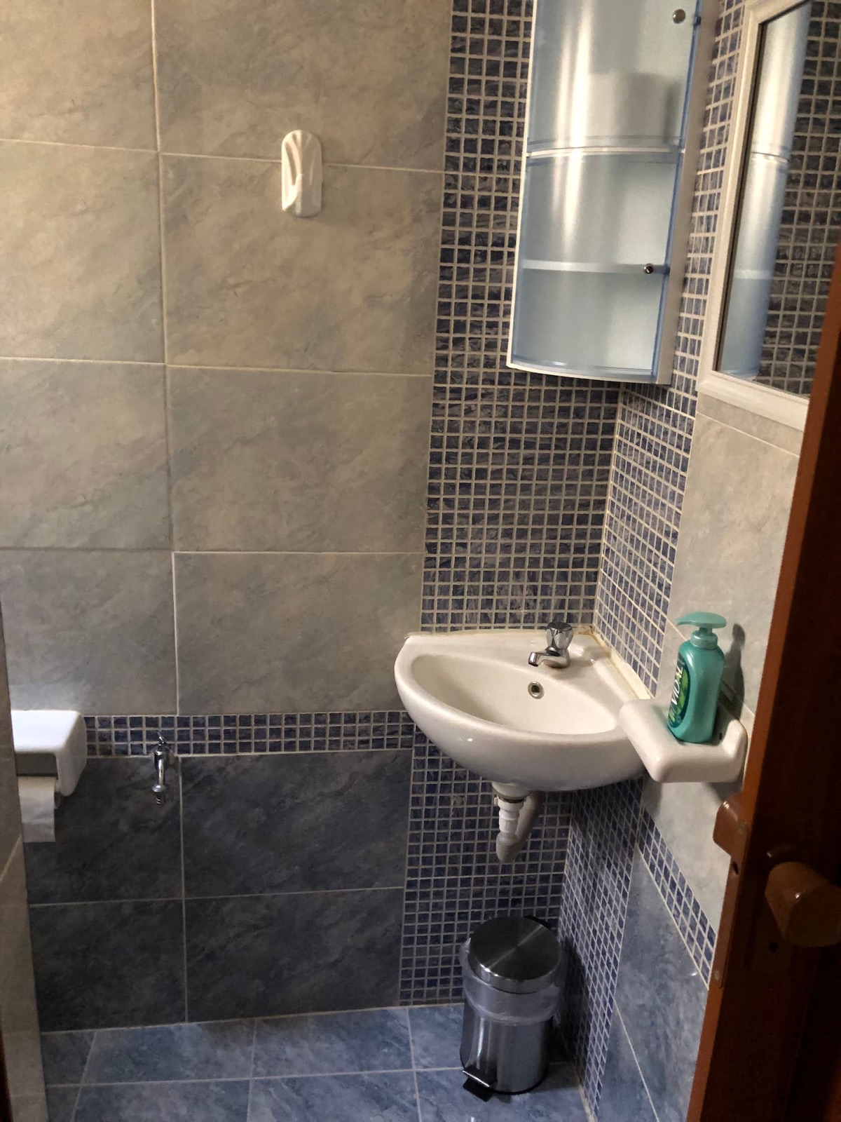 Guest toilet and sink on the first floor